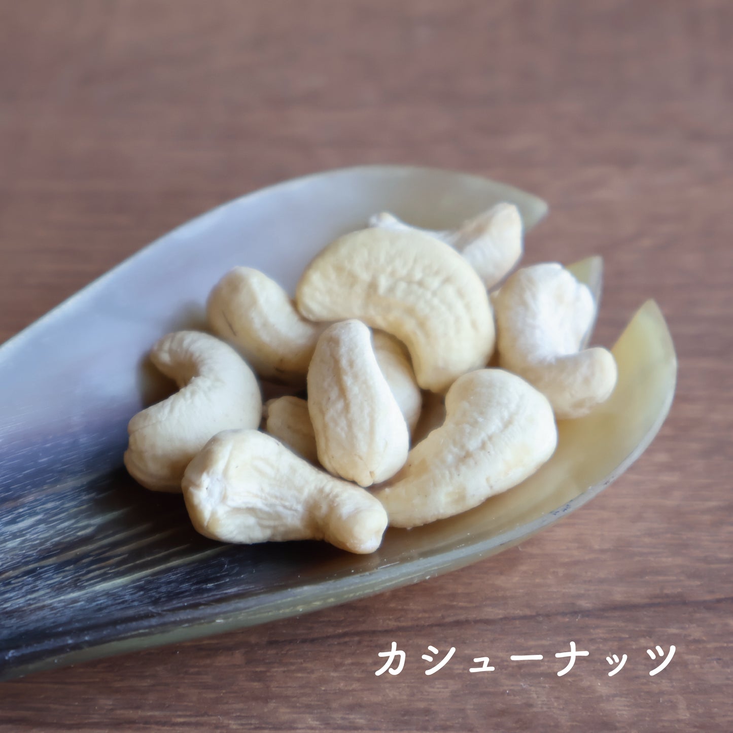 01/こびりナッツ(大分県産モリンガ)